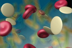 blood cells