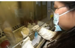 sterilization